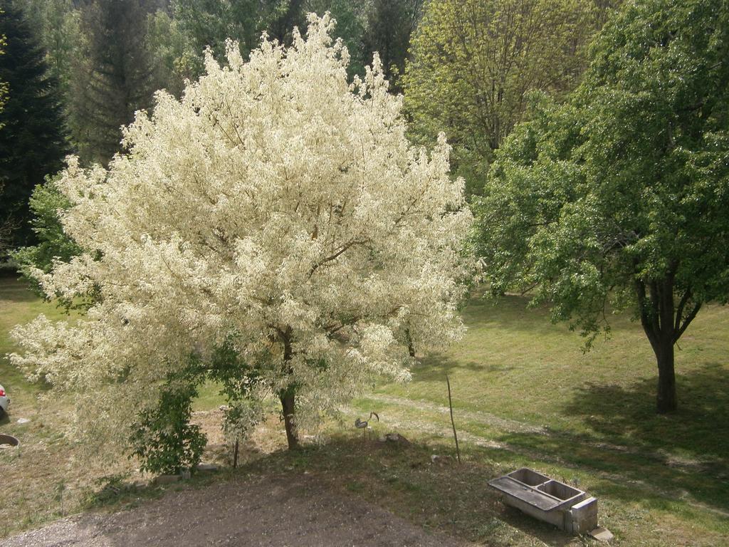 Gite Valescure Saint-Michel-de-Dèze Eksteriør bilde